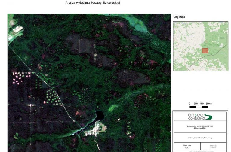 Monitorowanie lasów za pomocą satelit