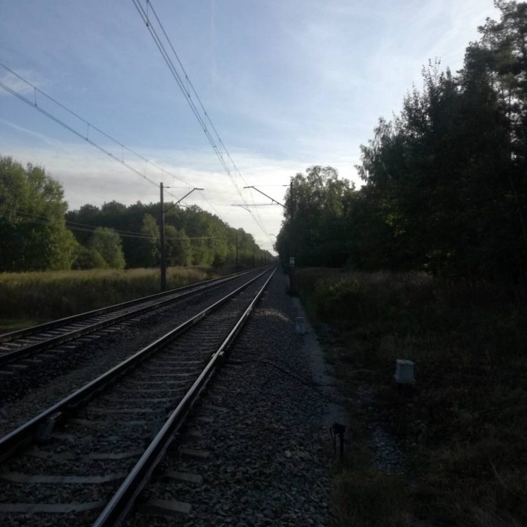 Linia kolejowa nr 143, Raport o Oddziaływaniu Przedsięwzięcia na Środowisko
